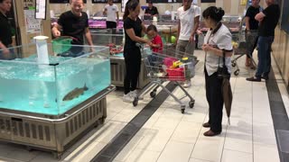 Fish Jumps into Cart