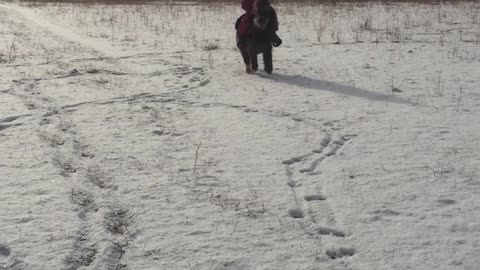 Cat Joins Girl For A Miniature Horseback Ride