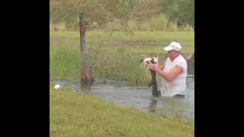 Florida man wrestles his puppy from jaws of alligator