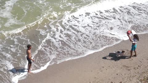 Summer Beach Sea Ocean with Dog