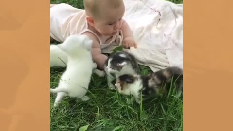 puppies and baby