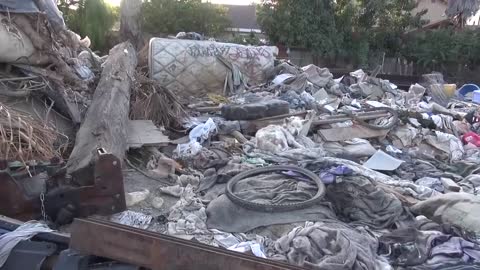 A Stray Dog Living In a Dumping Site Got Rescued