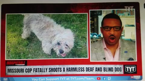 KCMN Presents - Cops Shoot Harmless Blind & Deaf Dog