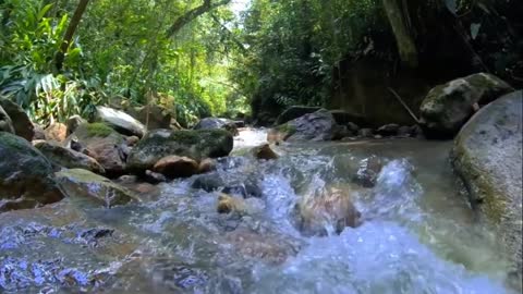 The stream