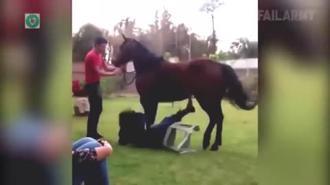 FUNNY INSTANT REGRET HORSE MOUNTING