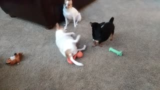 Lulu and Louis play