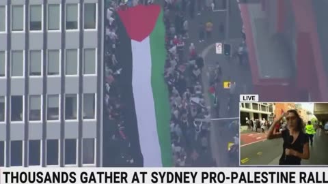 Pro-Palestine march with an estimated 10,000 people underway in Sydney's CBD