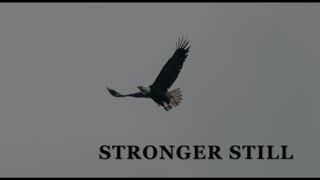 Pray USA 2/13/24 Stronger Still