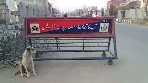 funny | J&K Police video ll English ll