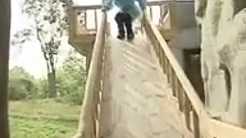 Cute pandas playing on the slide