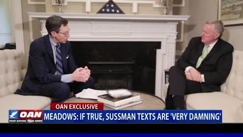 Mark Meadows: If true, Sussman texts are 'very damning'