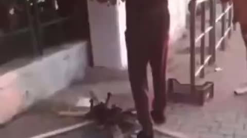 COMING TO AMERICA: AFRICAN MIGRANT COOKS PET DOG ON SIDEWALK - TUSCANY, ITALY