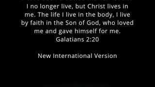 ✝️ Today's Bible Verse Galatians 2:20