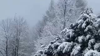 Snowy weather, Heidelberg