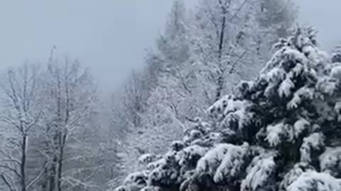 Snowy weather, Heidelberg