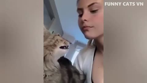 FUNNY ANIMALS VIDEO