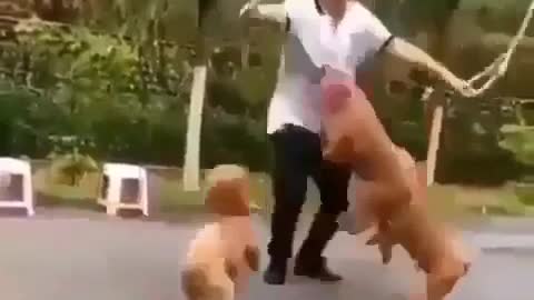 Man Skips Rope With Four Puppies