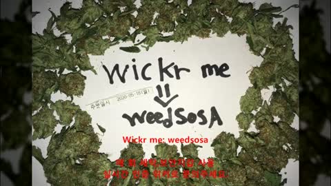 ▼로컬 떨 수입 : wickr- weedsosa :매 회 세탁 보안지갑 사용 ▼ 떨 구입▼떨 구매▼떨 판매 wickr- weedsosa