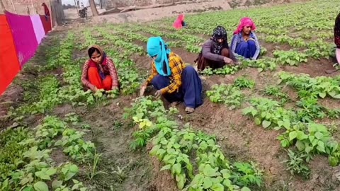 गरीबों का जीवन 😭😭 Rural Life Of Farmers In India ll Village Life Uttar Pradesh LifeStyle