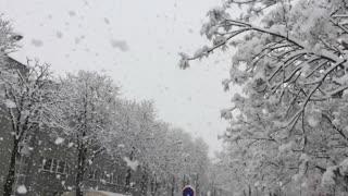 Soothing Massive Snowflakes Captured In Slow Motion