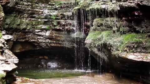 Relaxing Forest Waterfall Sounds with Birdsong - Nature Sounds - Relaxation/Meditation