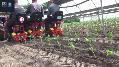 MUST WATCH: Amazing Automatic Seedling 2021 and Extremely Amazing Modern Farm Harvesting Machinery