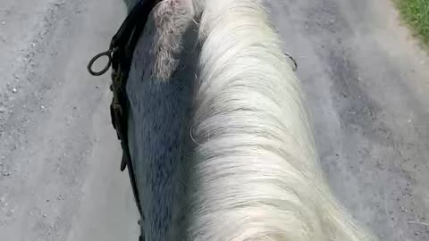 Bareback Ride on Frosty