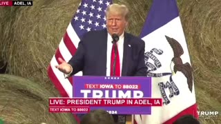 Trump roasting Biden