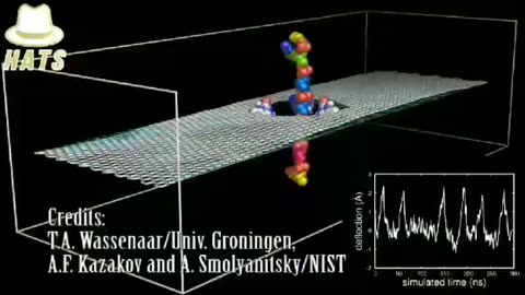 How Graphene Oxide interacts with DNA.