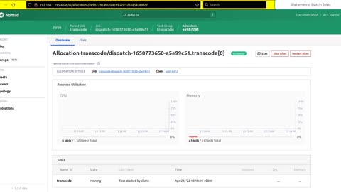 Scaling out IO-intensive parametrized jobs with Nomad and BeeGFS