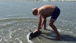 Old man fights shark with one hand