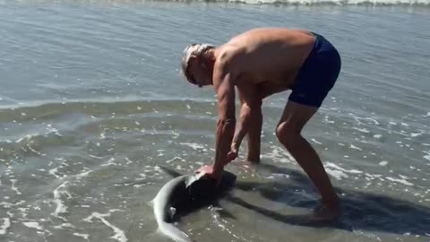 Old man fights shark with one hand