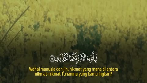 Surah Rahman - Beautiful and Heart trembling Quran recitation