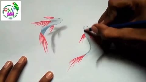 How to Draw Tuna Fish - Drawing 3D Fish Illusion on Paper -By Vamos