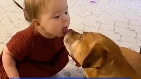 Cute baby and pet kiss.