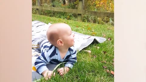 Cute Baby outdoor moments