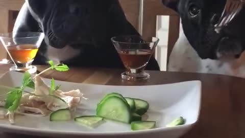 Exigentes Bulldogs se niegan a comer sus verduras
