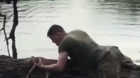 Soldier saves the drowning Fawn in the nick of time