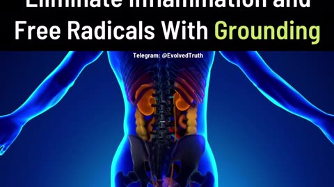 ELIMINATE INFLAMMATION AND FREE RADICALS WITH GROUNDING