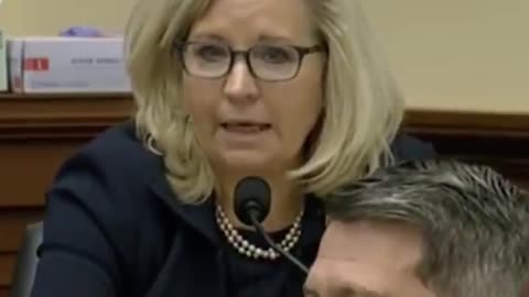RINO Liz Cheney Blathers On About Jan 6th Before Asking Milley Softball Questions