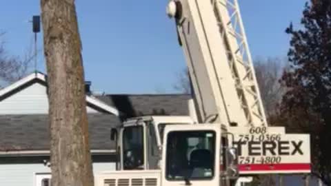 Tree removal by crane