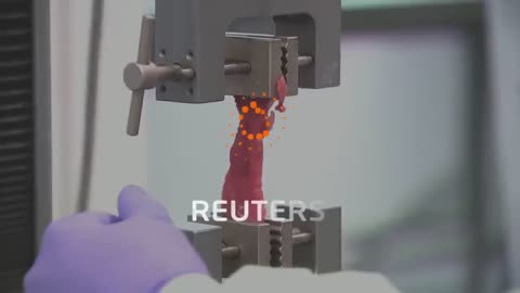 3D Printed MEAT ???? Will you EAT it?