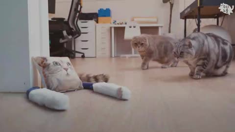 Cats against an artificial cat