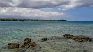 Lunch Brake at the Beach Hawaii Found Baby eel and Sea cucumber