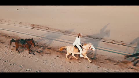 Horse Running Cinematic Drone Shot.