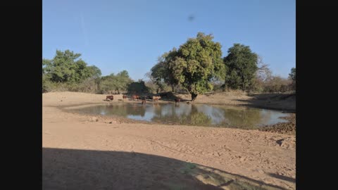 Zambia Trip to Sitinkwi Village - Improved Village