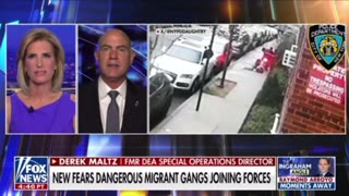 New fears dangerous migrant gangs joining forces