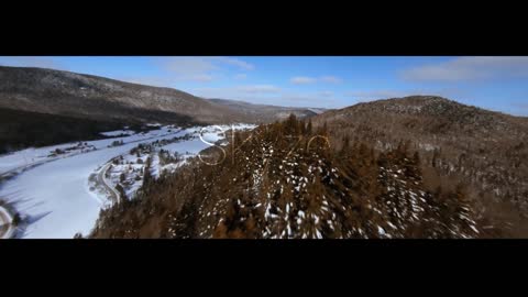 nature with snow bird's eye view