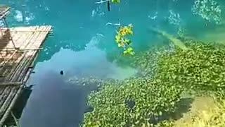 Blue lagoon in the Philippines