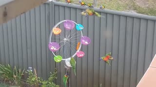 🛞 DIY 🐦 Bird FEEDER 🥣 BATH 💦 Wheel 🎡